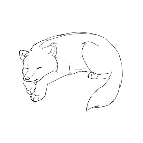 Sleeping Wolf Drawings And Coloring Pages