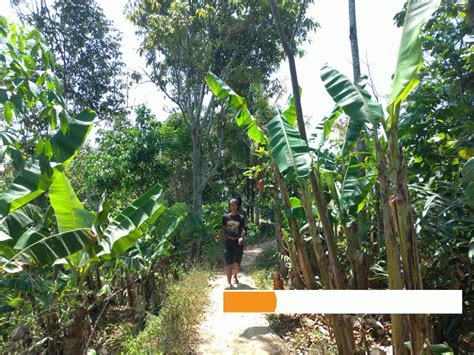 Sama memiliki profesi contohnya dalam berdagang si a dan si b bedagang di pasar yang sama namun si a ternyata barangnya lebih laku di bandingkan dengan si b, hal ini karena perhitungan arah rejeki mereka berbeda, jadi bukan karena barang si b hari dan pasaran. Petani Keluhkan Harga Daun Pisang Anjlok di Tengah Pandemi ...