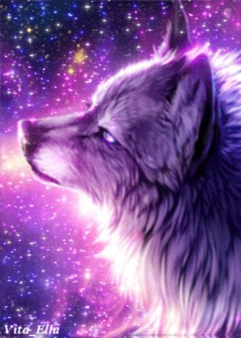 🐺 The Beautiful Wolf ♡ ️♡ Anime Wolf Girl Galaxy Wolf Wolf Artwork