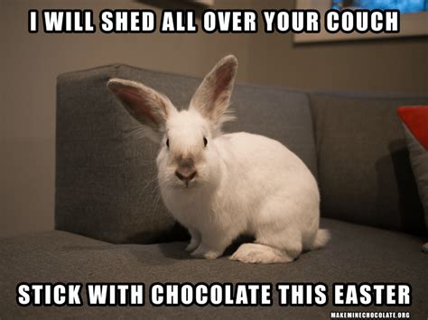 Chocolate Bunnies Dont Shed The Life And Times Of Bunnies