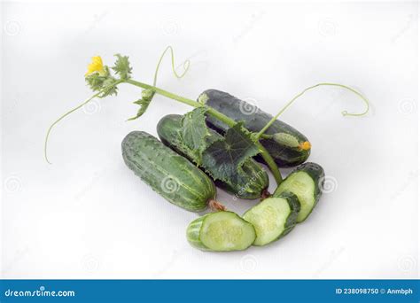 Whole And Sliced Fresh Cucumbers Stem Of Cucumber Plant Stock Photo