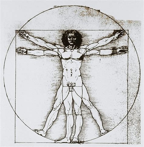 7 views of male human organs from an atlas of human anatomy: Mystery lingers over da Vinci painting's one flaw - New ...