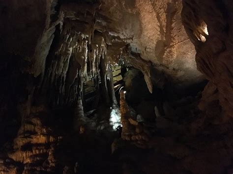 Grand Avenue Tour Mammoth Cave National Park 2019 All You Need To