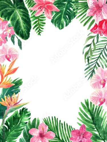 Tropical Watercolor Floral Foliage Border Stock Illustration Adobe Stock