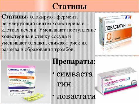 Холестерин повышен в крови диета