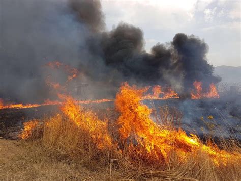 Paura per un incendio scoppiato all'interno di un appartamento in edificio di via giacomo antonini a milano, nel pomeriggio di domenica, poco dopo le. Incendi, 795 gli interventi dei vigili del fuoco in tutta ...