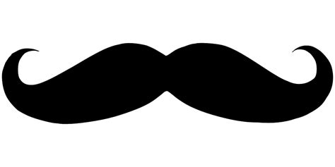 Moustache Png Transparent Image Download Size 960x480px