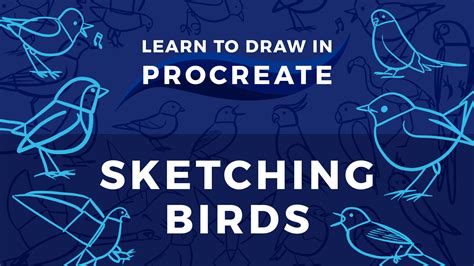 This site uses cookies to improve your experience and collect statistics. Learn to Draw in Procreate // Sketching Birds • Bardot Brush