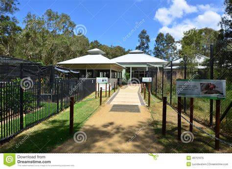 We did not find results for: Currumbin Wildlife Sanctuary Hospital Editorial Image ...