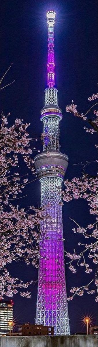 Sakura And Tokyo Sky Tree Japan Loversjapan Tokyoskytree 東京スカイツリー