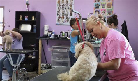 Learn how to cover the basics to keep your pooch happy and healthy. Happy Tails Pet Grooming Salon moves to larger facility ...