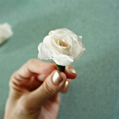 Easy Diy Coffee Filter Roses Try It Three Different Ways
