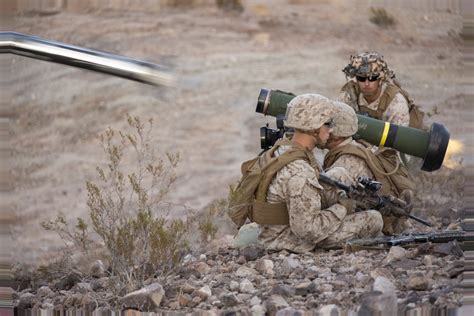 Dvids Images 1st Bn 7th Marines Conducts Battalion Field Exercise