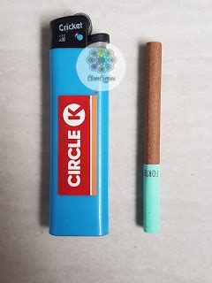 Camel wides cigarettes available in: Djarum Forte Menthol | Cloveciggies.net