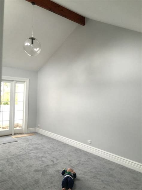 What Color Carpet With Light Grey Walls - Carpet Vidalondon