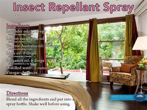 Natural Insect Repellant Spray For Your Home Lemon Eucalyptus Oil Eucalyptus Essential Oil