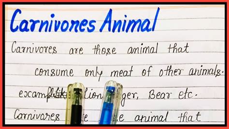 What Are Carnivorous Animals In English Youtube