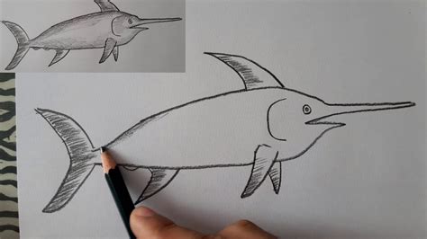 ¿cómo Dibujar Un Pez Espada How To Draw A Swordfish Youtube