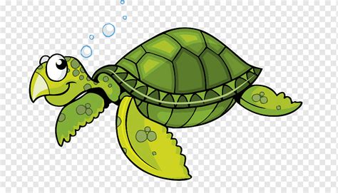 черепаха морская черепаха мультфильм пузырь пузырь черепаха