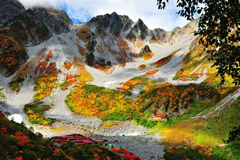 Beauty Autumn Forest Hd Landscape Wallpapers