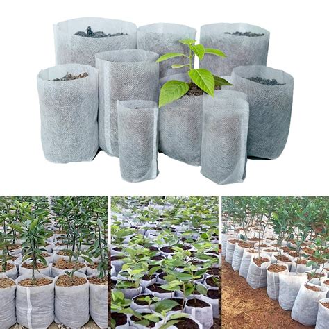 Biodegradable Plants Grow Bags 100 Pieces And Multiple Sizes Etsy