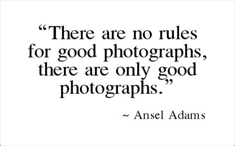 There Are No Rules For Good Photographs Quote E Biz Booster Blog