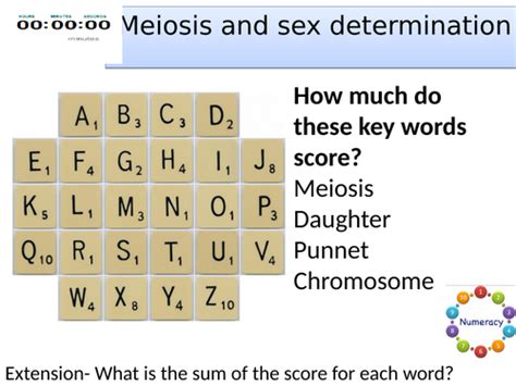 Topic 6 Meiosis And Sex Determination Aqa Trilogy Teaching Resources