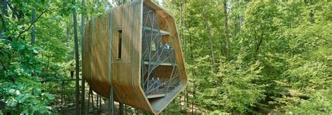 Futuristic Treehouse In Arkansas Is Designed To Inspire Imagination