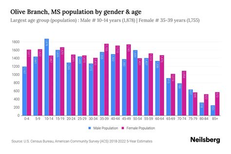 Olive Branch, MS Population by Gender - 2024 Update | Neilsberg