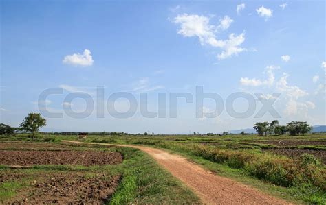 Local Road In Agricultural Area Stock Image Colourbox