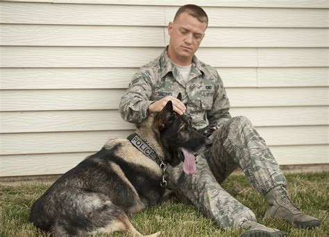 State And Military Dog It Out In K 9 Competition