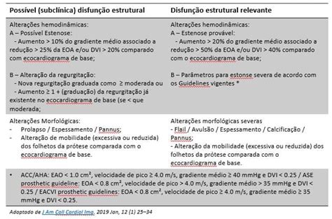 Seguimento Pós Tavi Aspectos Ecocardiográficos Blog Ecope