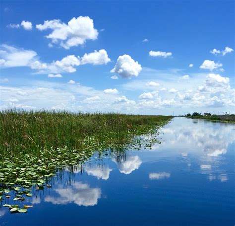 Florida Everglades Everglades Florida Natural Landmarks Everglades