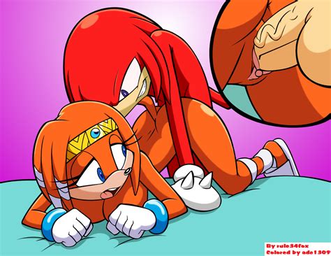 Post 1429914 Adc1309 Knucklestheechidna Rule34rox Sonicthehedgehog