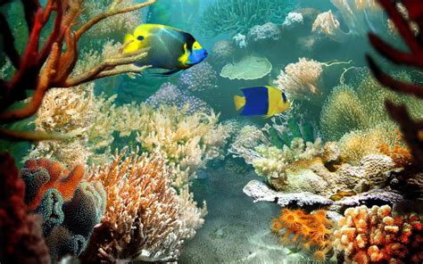 49 Most Beautiful Ocean Wallpapers On Wallpapersafari