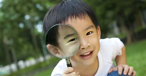 Curious Children Have Better Memories And Learn More Quickly
