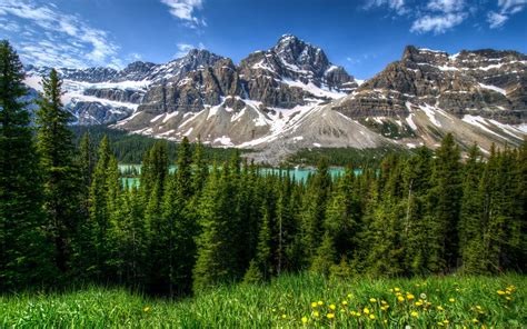 Mountain Green Forest Nature Lake Snow Wallpapers Hd Desktop And