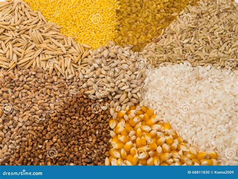 Collection Set Of Cereal Grains Stock Photo Image Of Healthcare