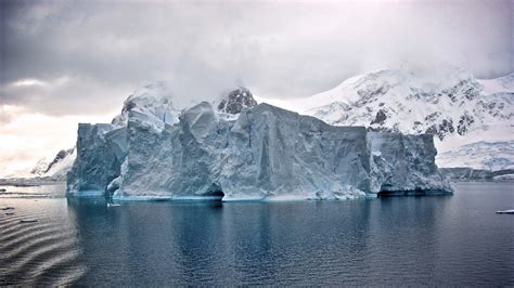 Arctic Vs Antarctica A Comparison Aurora Expeditions