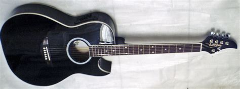 Acoustic Guitar Guitar Photo 424205 Fanpop