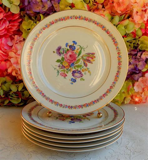 6 Beautiful Vintage Rosenthal Porcelain Dinner Plates ~ Dresden Flower