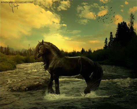 Ravith By ~romino4000 On Deviantart Fantasy Horses Horse Art Horses