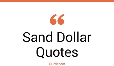 7 Strong Sand Dollar Quotes That Will Unlock Your True Potential