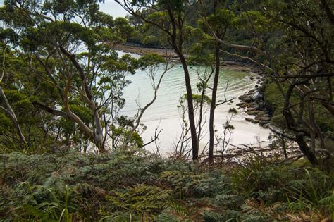 3 Hikes To Steamers Beach Booderee National Park