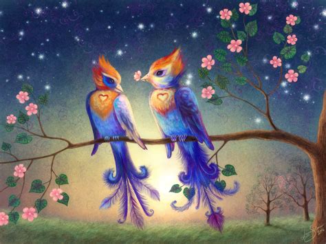 Beautiful Wallpapers And Images Beautifull Love Bird Wallpaperimages