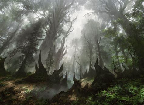 Forest Mtg Art From Core Set 2021 Set By Jonas De Ro Art Of Magic