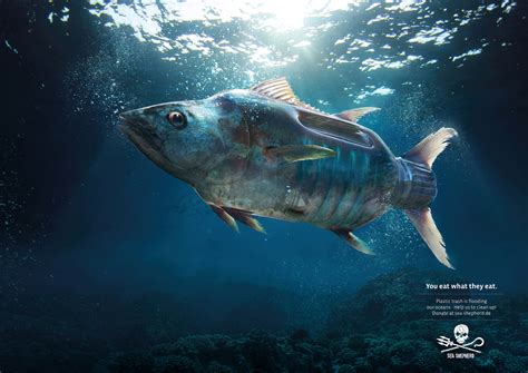 Sea Shepherd Mackarel Tuna Seabass Ads Of The World Part Of The