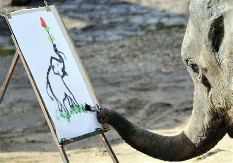 Can Elephants Really Paint