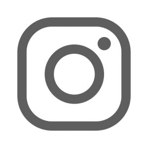 Icône Instagram gris