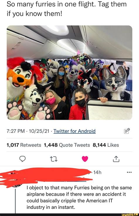 So Many Furries In One Flight Tag Them If You Know Them Pm Twitter